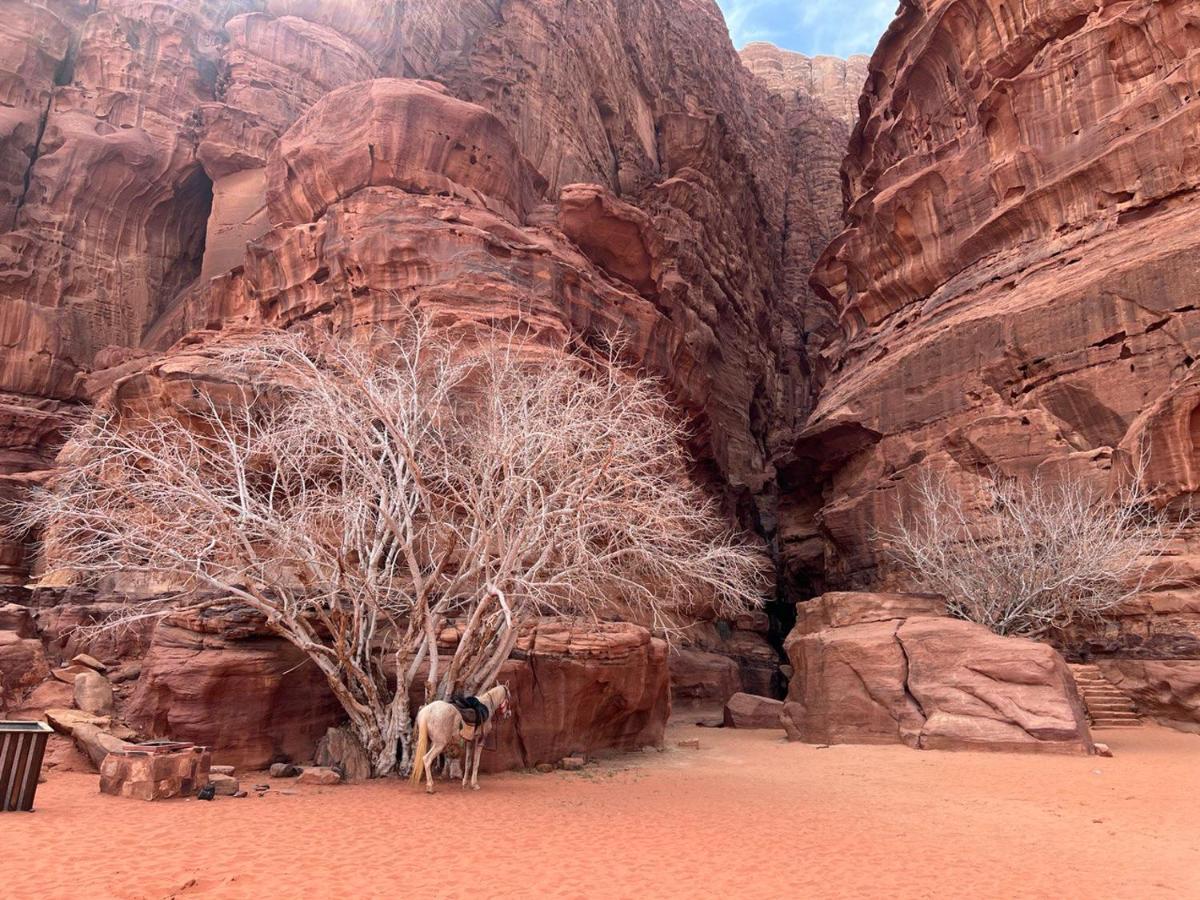 Golden Day Hotel Wadi Rum Bagian luar foto