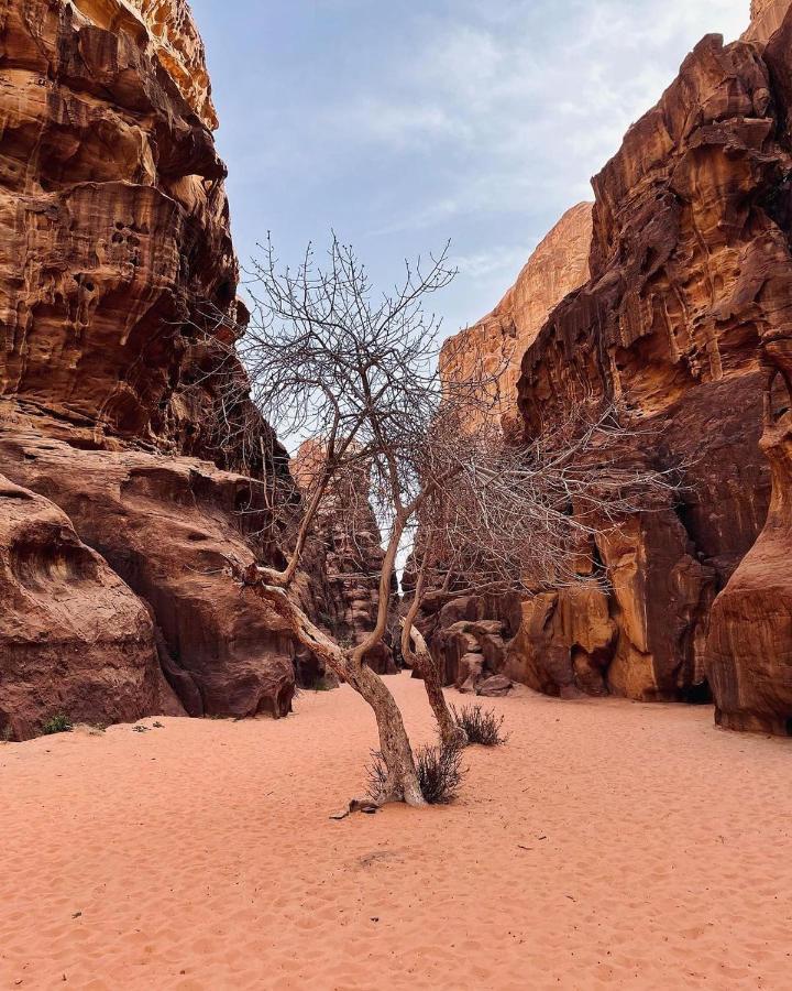 Golden Day Hotel Wadi Rum Bagian luar foto